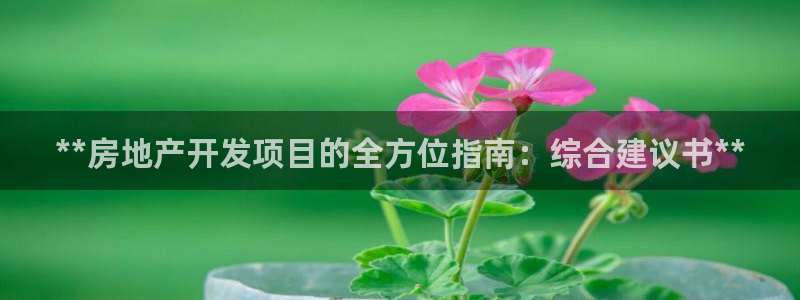 万能娱乐平台直招代理