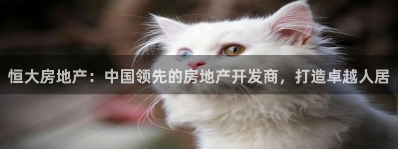 万向娱乐平台代理多少钱