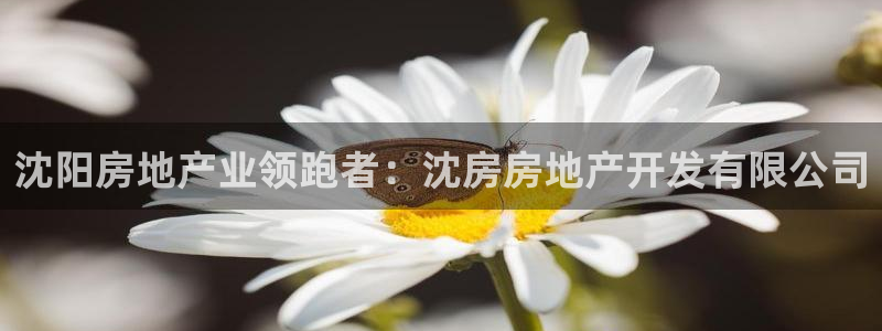 万向娱乐招商