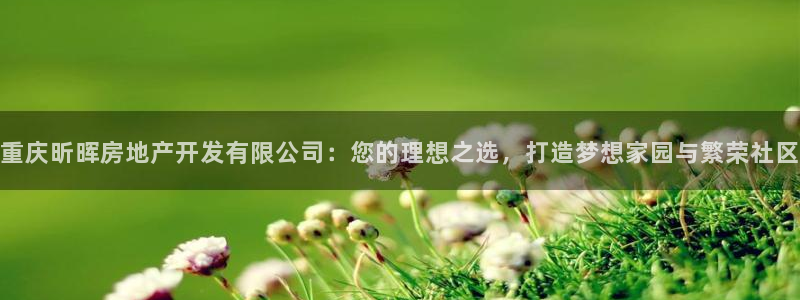 万向娱乐的联系方式有哪些