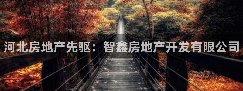 万能娱乐代理网址