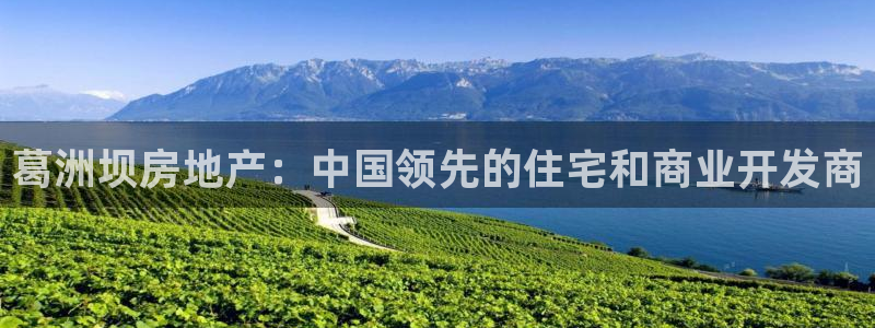 万向娱乐技术