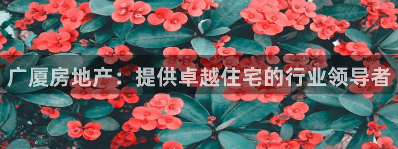 万向娱乐老板