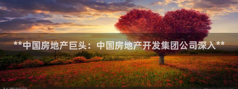 万向娱乐官网下载安装最新版