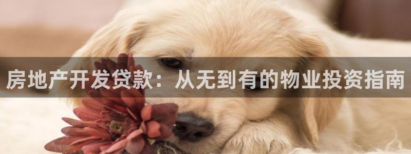 万向娱乐平台下载安装