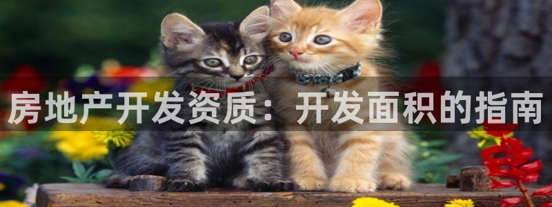 万向娱乐