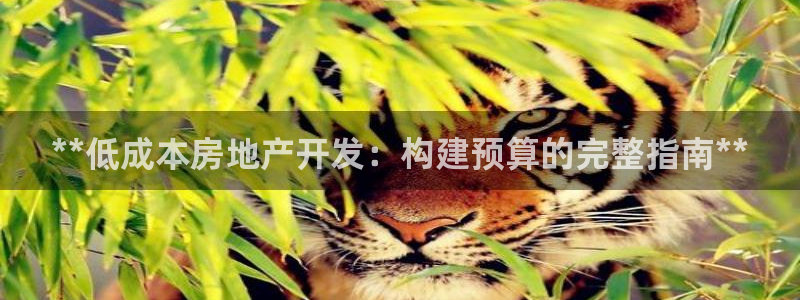 万向娱乐app下载