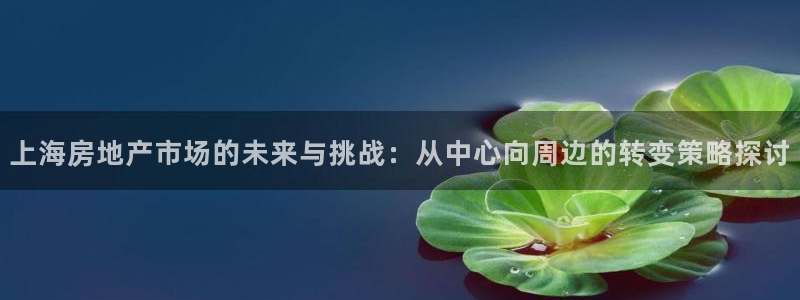 万向娱乐挂机软件