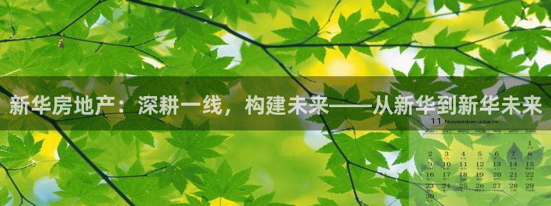 万向娱乐平台代理多少钱一个