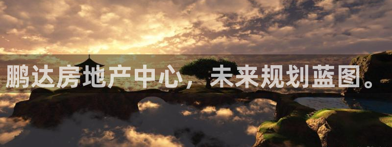万向娱乐是野鸡台吗