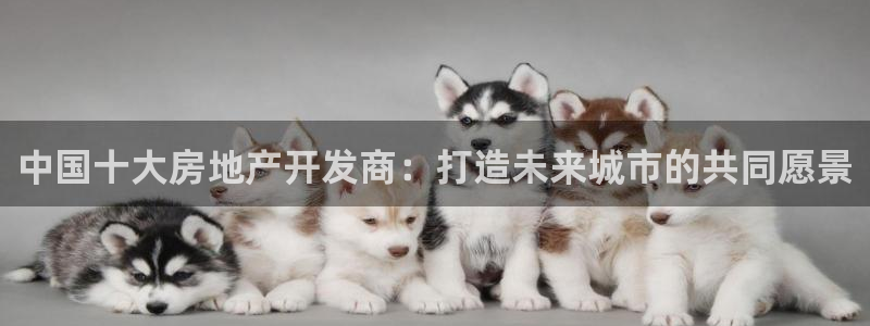 万向娱乐登陆