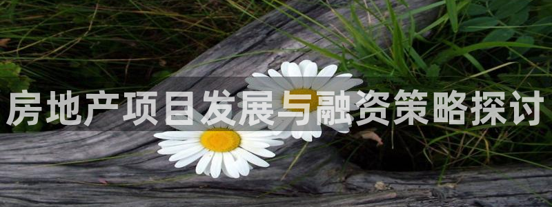 万向娱乐app下载安装
