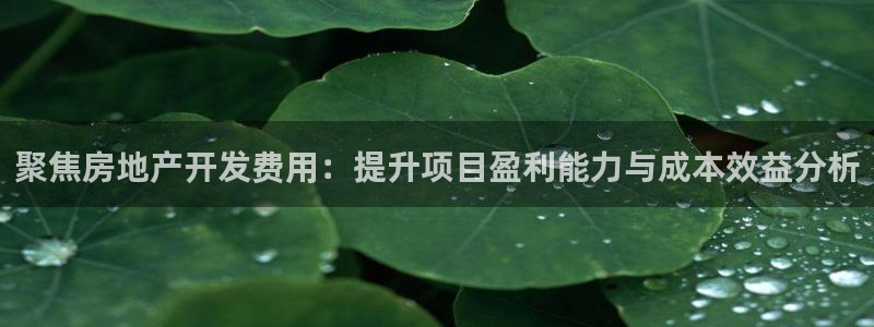 万向娱乐王者荣耀