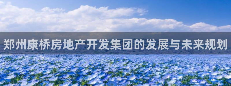 万向娱乐是野鸡台吗