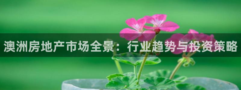 万能娱乐平台直招代理