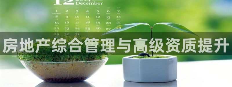 万向娱乐app