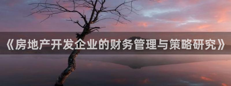 万向娱乐是野鸡台吗