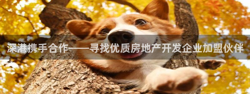 万向娱乐app下载官网