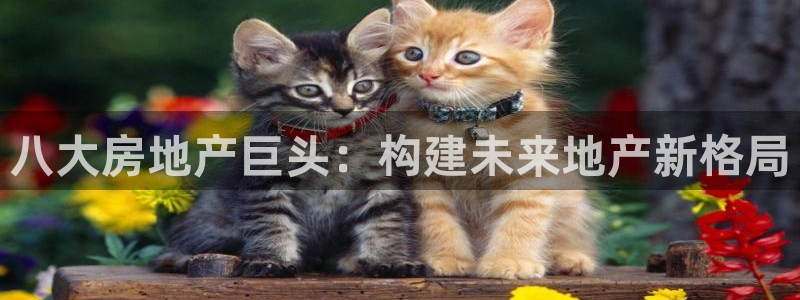 万向娱乐的联系方式是什么