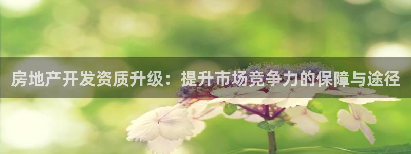 万象国际娱乐网址