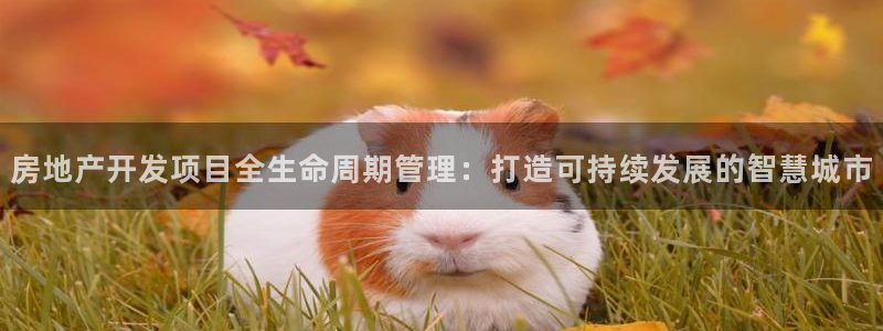 万向娱乐公司官网