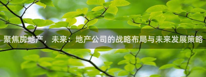万向娱乐平台代理怎么样