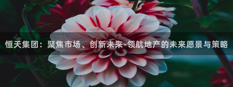 万向娱乐平台代理怎么做赚钱