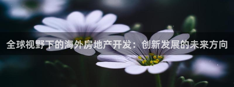 万向娱乐招商