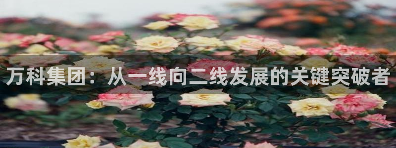 万向娱乐平台怎么下载