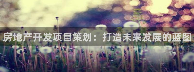 万向娱乐平台代理多少钱