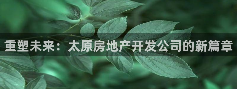 万向娱乐app下载