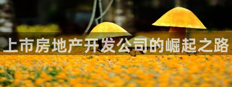 万向娱乐平台代理多少钱一个
