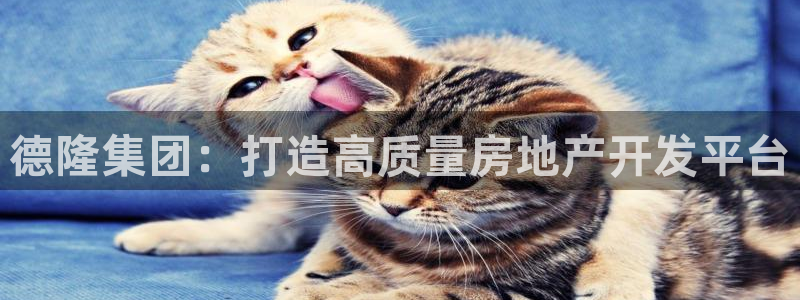 万向娱乐官网网址大全